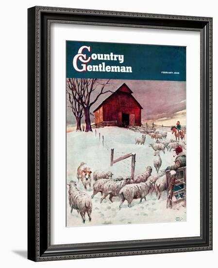 "Herding Sheep into Barn," Country Gentleman Cover, February 1, 1946-Matt Clark-Framed Giclee Print