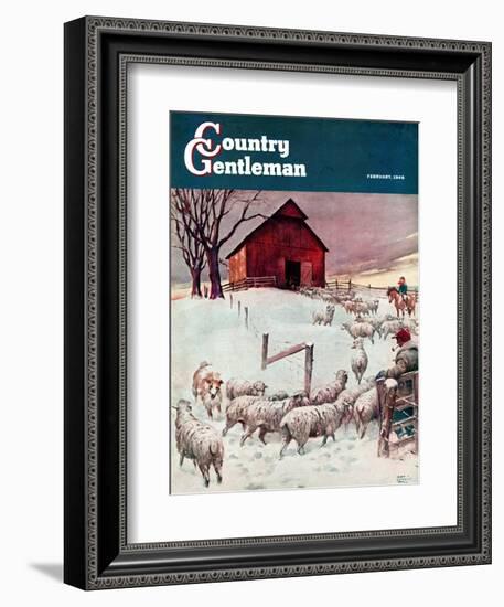 "Herding Sheep into Barn," Country Gentleman Cover, February 1, 1946-Matt Clark-Framed Giclee Print
