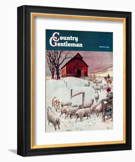 "Herding Sheep into Barn," Country Gentleman Cover, February 1, 1946-Matt Clark-Framed Giclee Print