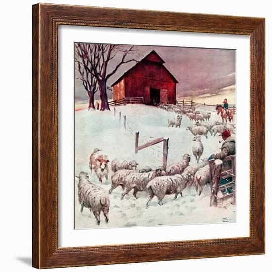 "Herding Sheep into Barn,"February 1, 1946-Matt Clark-Framed Giclee Print