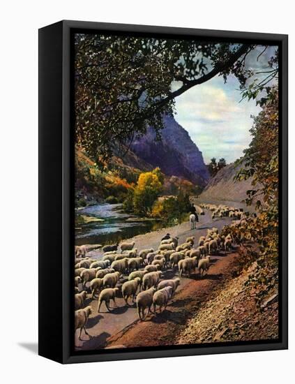 "Herding Sheep,"September 1, 1943-Mike Roberts-Framed Premier Image Canvas