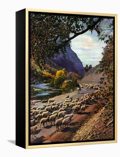 "Herding Sheep,"September 1, 1943-Mike Roberts-Framed Premier Image Canvas