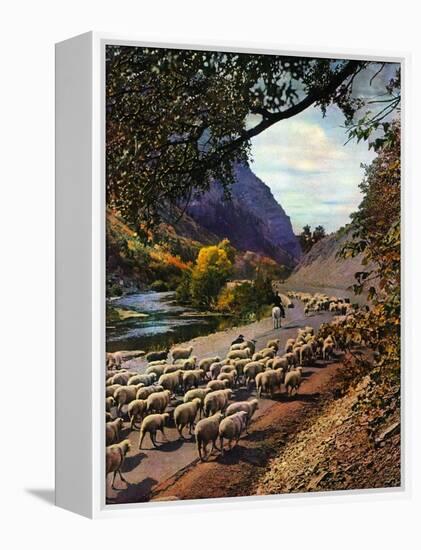 "Herding Sheep,"September 1, 1943-Mike Roberts-Framed Premier Image Canvas