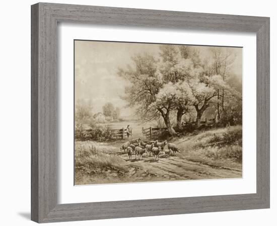 Herding Sheep-Carl Weber-Framed Art Print