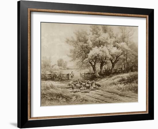 Herding Sheep-Carl Weber-Framed Art Print