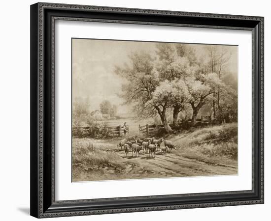 Herding Sheep-Carl Weber-Framed Art Print