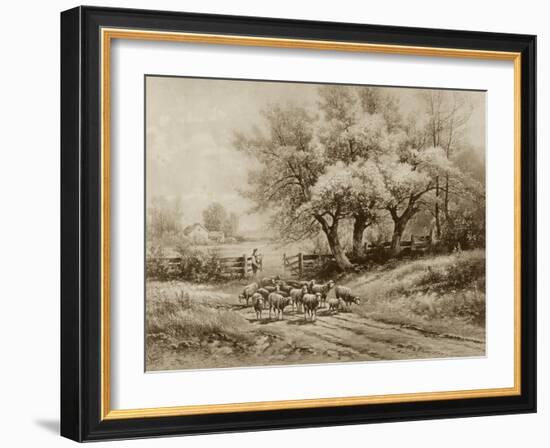 Herding Sheep-Carl Weber-Framed Art Print