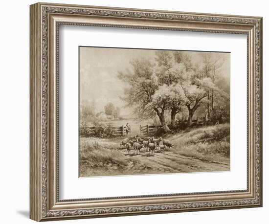 Herding Sheep-Carl Weber-Framed Art Print