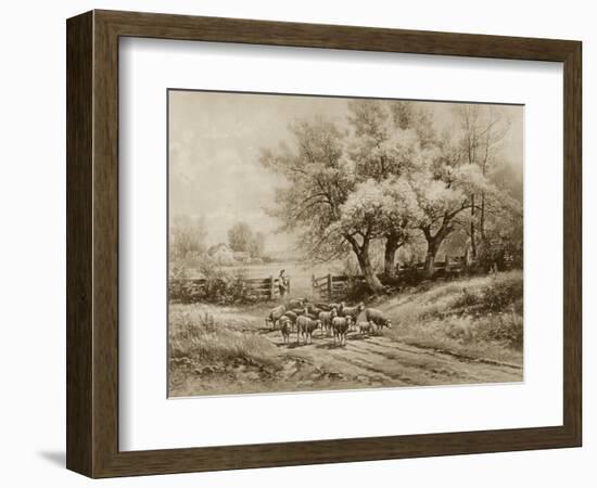 Herding Sheep-Carl Weber-Framed Art Print
