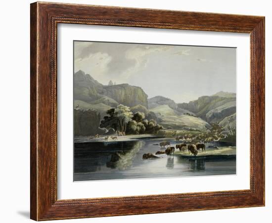 Herds of Bison and Elk on the Upper Missouri-Karl Bodmer-Framed Giclee Print