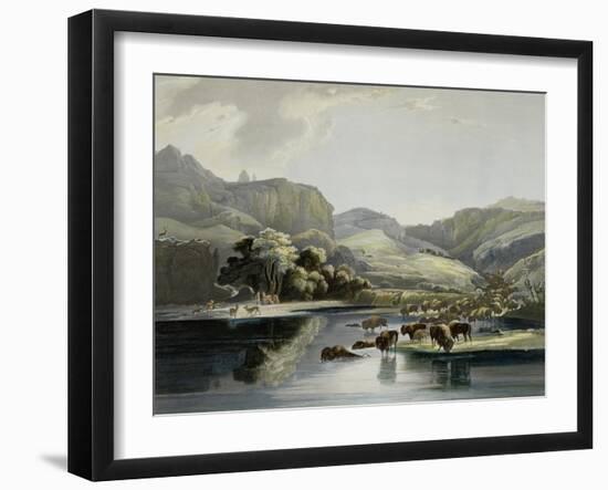 Herds of Bison and Elk on the Upper Missouri-Karl Bodmer-Framed Giclee Print