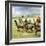Herds of Llamas in the Andes-Ferdinando Tacconi-Framed Giclee Print