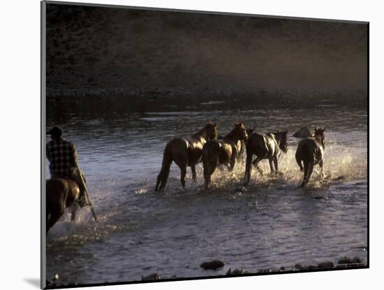 Herdsman and Horses Cross The Lake At Sunset, Great White Lake, Mongolia-Keren Su-Mounted Photographic Print