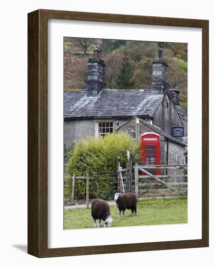 Herdwick Sheep and Cottage, Borrowdale, Lake District, Cumbria, England-Doug Pearson-Framed Photographic Print