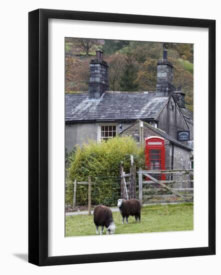 Herdwick Sheep and Cottage, Borrowdale, Lake District, Cumbria, England-Doug Pearson-Framed Photographic Print