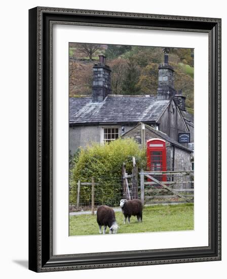 Herdwick Sheep and Cottage, Borrowdale, Lake District, Cumbria, England-Doug Pearson-Framed Photographic Print