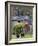 Herdwick Sheep and Cottage, Borrowdale, Lake District, Cumbria, England-Doug Pearson-Framed Photographic Print