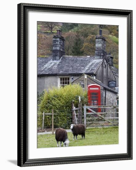 Herdwick Sheep and Cottage, Borrowdale, Lake District, Cumbria, England-Doug Pearson-Framed Photographic Print