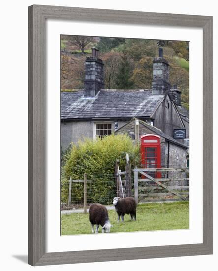 Herdwick Sheep and Cottage, Borrowdale, Lake District, Cumbria, England-Doug Pearson-Framed Photographic Print