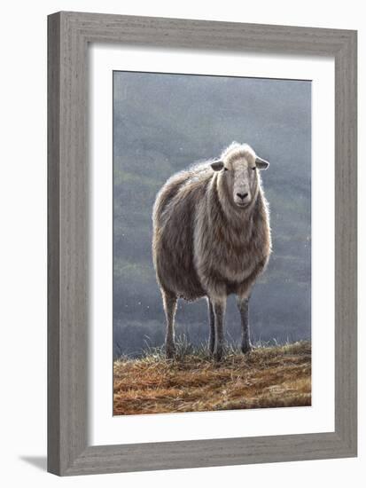 Herdwick Sheep-Jeremy Paul-Framed Giclee Print