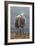 Herdwick Sheep-Jeremy Paul-Framed Giclee Print