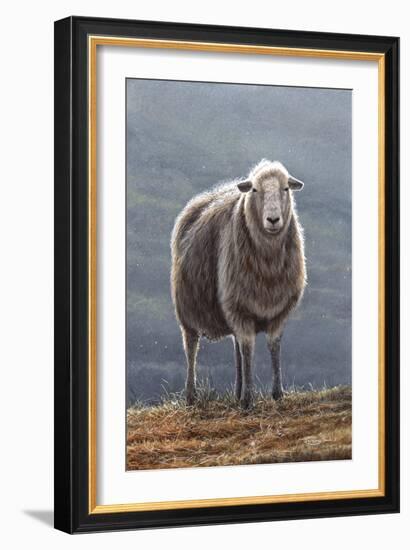 Herdwick Sheep-Jeremy Paul-Framed Giclee Print