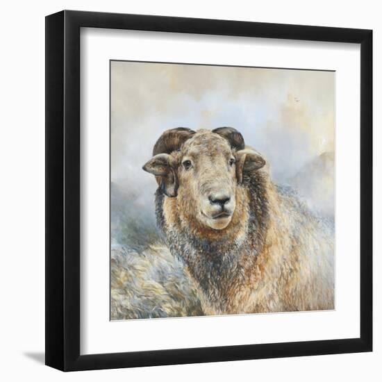 Herdwick Sheep-Dina Perejogina-Framed Art Print