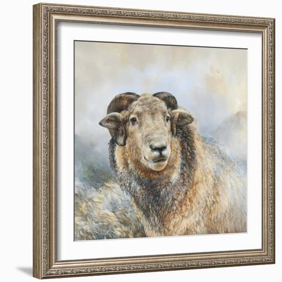 Herdwick Sheep-Dina Perejogina-Framed Art Print