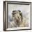 Herdwick Sheep-Dina Perejogina-Framed Art Print