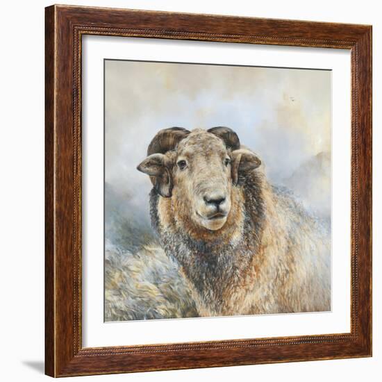 Herdwick Sheep-Dina Perejogina-Framed Art Print