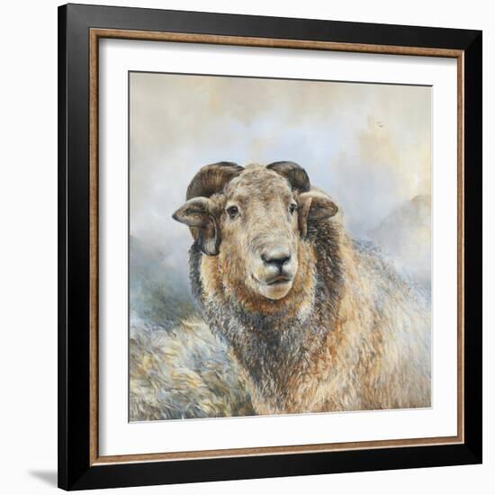 Herdwick Sheep-Dina Perejogina-Framed Art Print