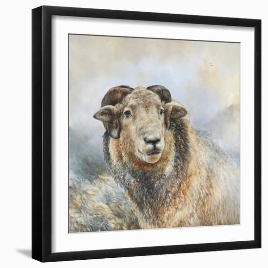 Herdwick Sheep-Dina Perejogina-Framed Art Print