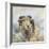 Herdwick Sheep-Dina Perejogina-Framed Art Print