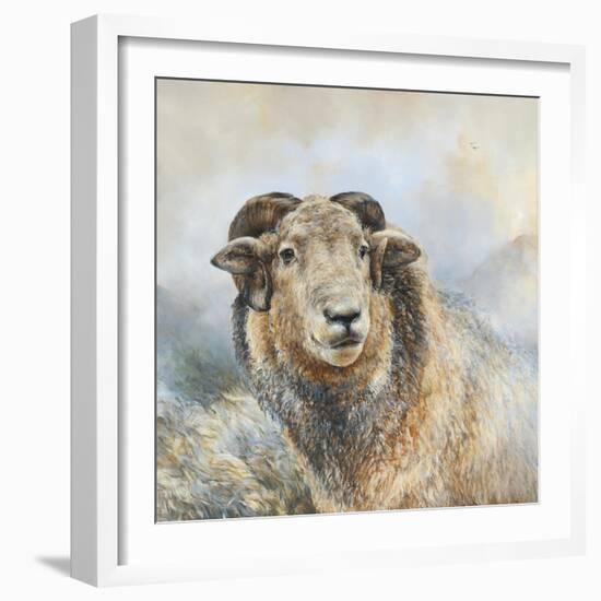 Herdwick Sheep-Dina Perejogina-Framed Art Print