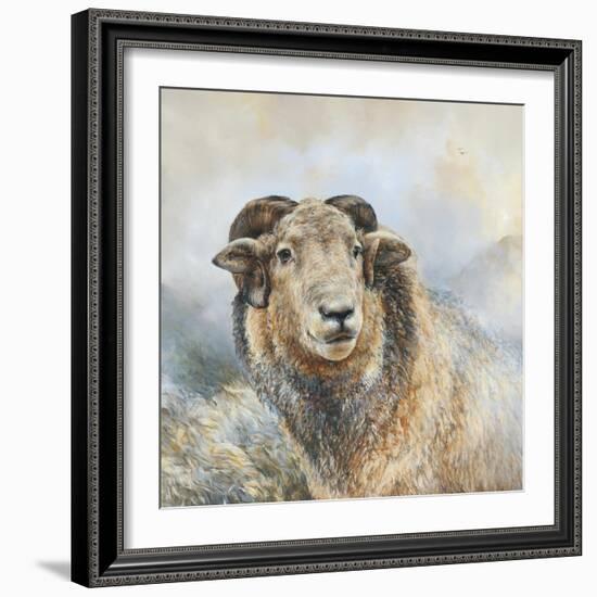 Herdwick Sheep-Dina Perejogina-Framed Art Print