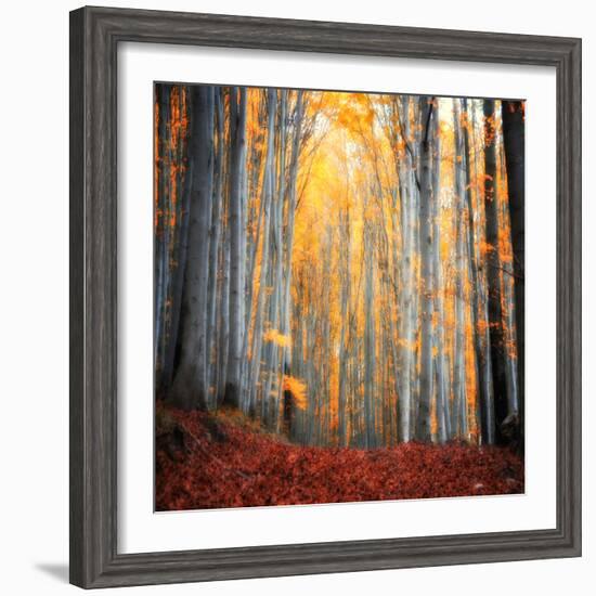 Here Comes the Sun-Philippe Sainte-Laudy-Framed Photographic Print