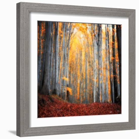 Here Comes the Sun-Philippe Sainte-Laudy-Framed Photographic Print