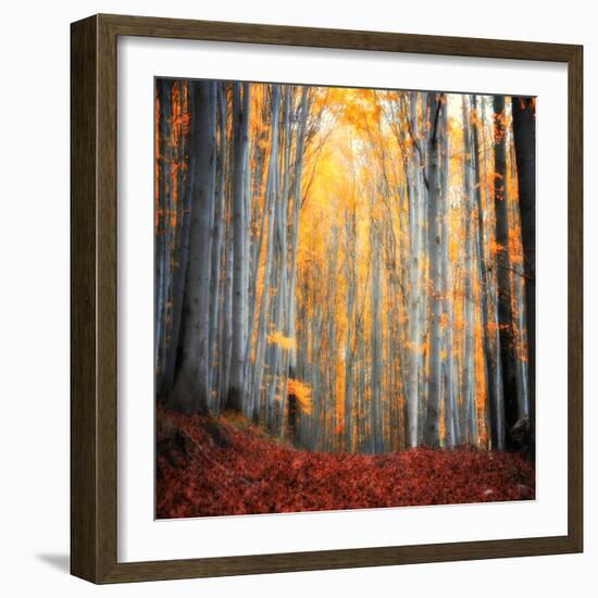 Here Comes the Sun-Philippe Sainte-Laudy-Framed Photographic Print