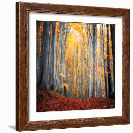 Here Comes the Sun-Philippe Sainte-Laudy-Framed Photographic Print