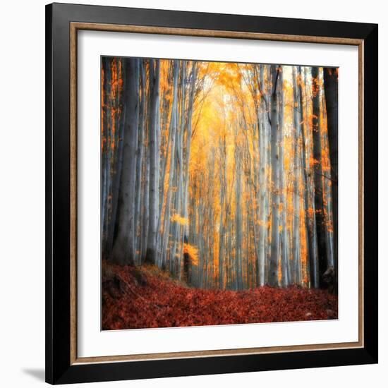 Here Comes the Sun-Philippe Sainte-Laudy-Framed Photographic Print