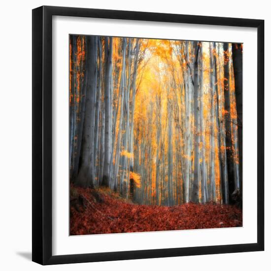 Here Comes the Sun-Philippe Sainte-Laudy-Framed Photographic Print