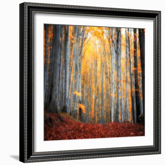 Here Comes the Sun-Philippe Sainte-Laudy-Framed Photographic Print