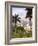 Heredia, Central Valley Region, Costa Rica-John Coletti-Framed Photographic Print