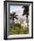 Heredia, Central Valley Region, Costa Rica-John Coletti-Framed Photographic Print