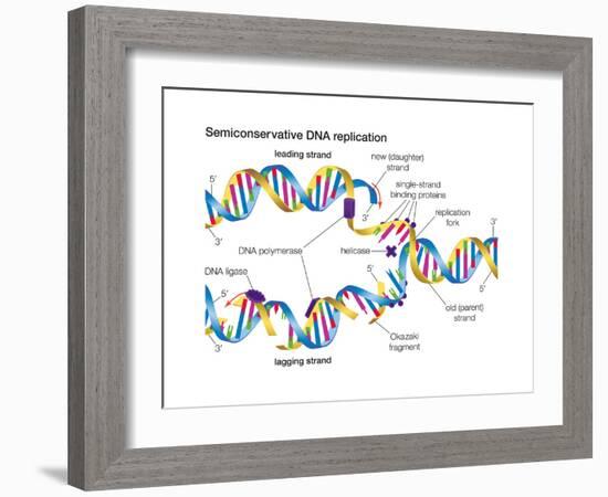 Heredity-Encyclopaedia Britannica-Framed Art Print