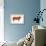 Hereford Bull, Beef Cattle, Mammals-Encyclopaedia Britannica-Framed Stretched Canvas displayed on a wall