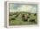 Hereford Cattle Grazing on Hill-James Randklev-Framed Premier Image Canvas