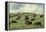 Hereford Cattle Grazing on Hill-James Randklev-Framed Premier Image Canvas