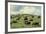 Hereford Cattle Grazing on Hill-James Randklev-Framed Photographic Print