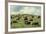 Hereford Cattle Grazing on Hill-James Randklev-Framed Photographic Print